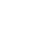 VUE