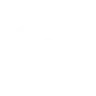 C++